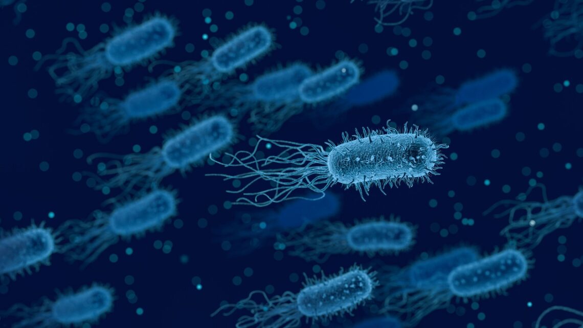 La legionella in odontoiatria