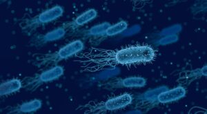 legionella in odontoiatria - Shoppics.com
