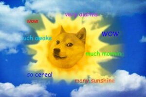 perchè comprare Dogecoin - Shoppics.com