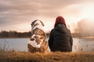 animale domestico segno zodiacale - Shoppics.com