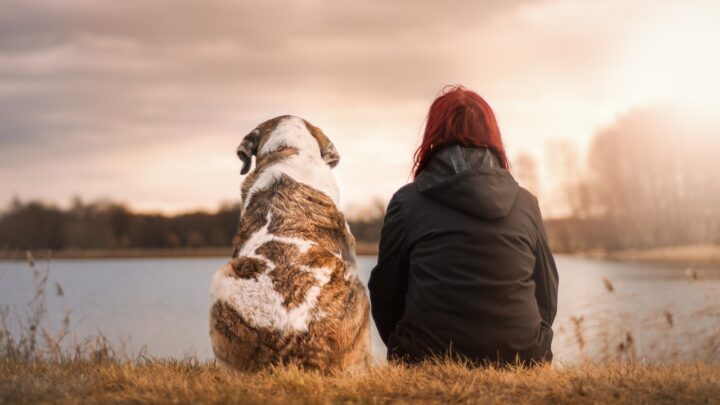 Il miglior animale domestico per te in base al tuo segno zodiacale