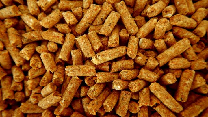 Comprare pellet online, info utili